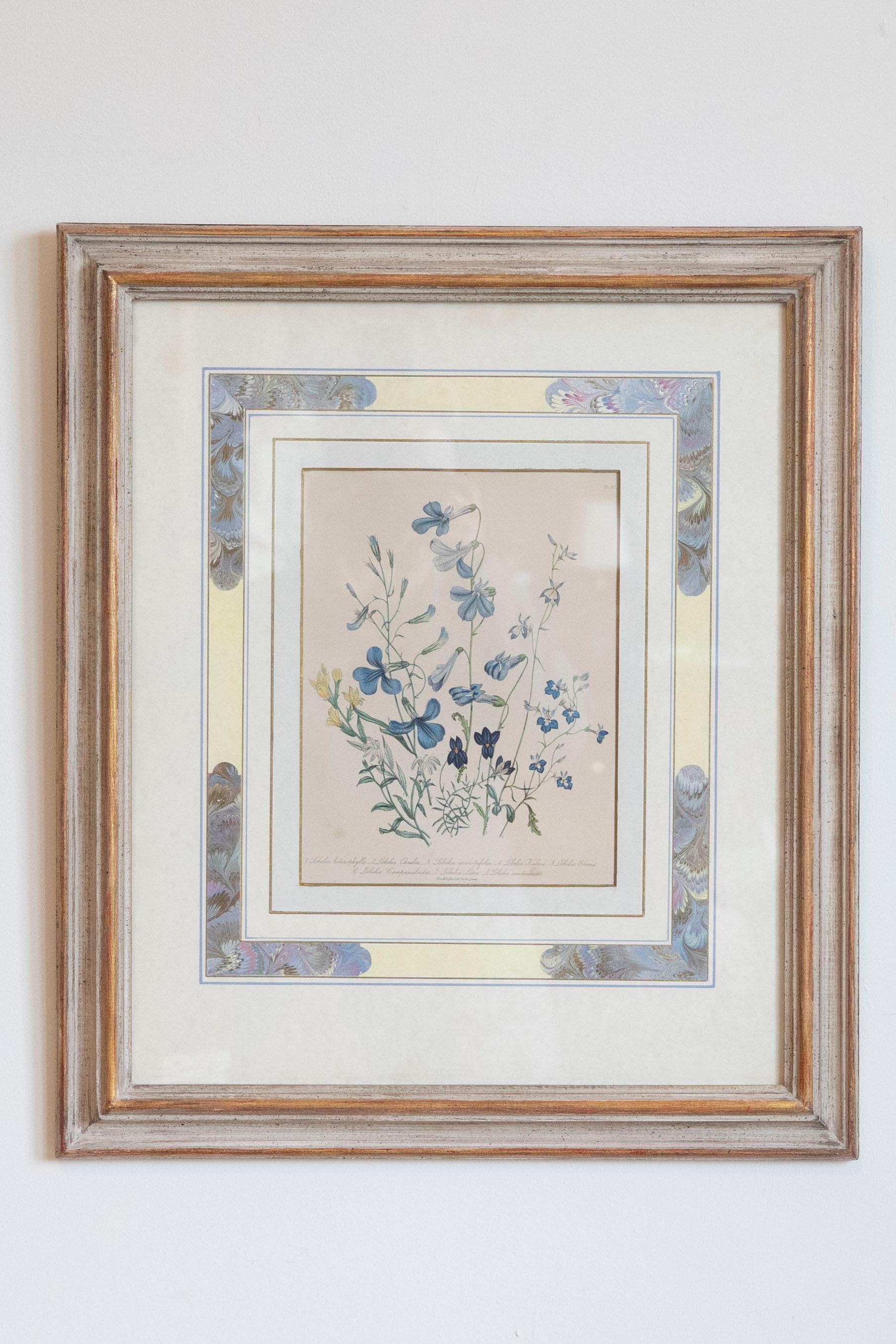Two Pairs of Original English Hand-Colored Floral Lithographs by Jane London 1