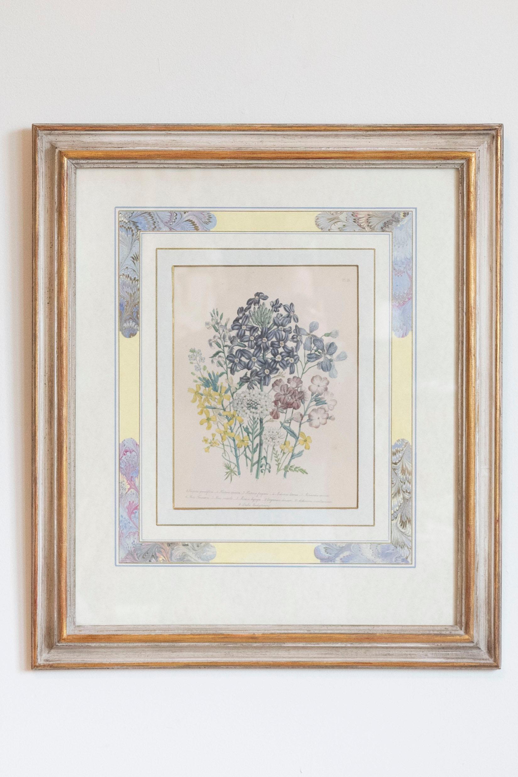 Two Pairs of Original English Hand-Colored Floral Lithographs by Jane London 4