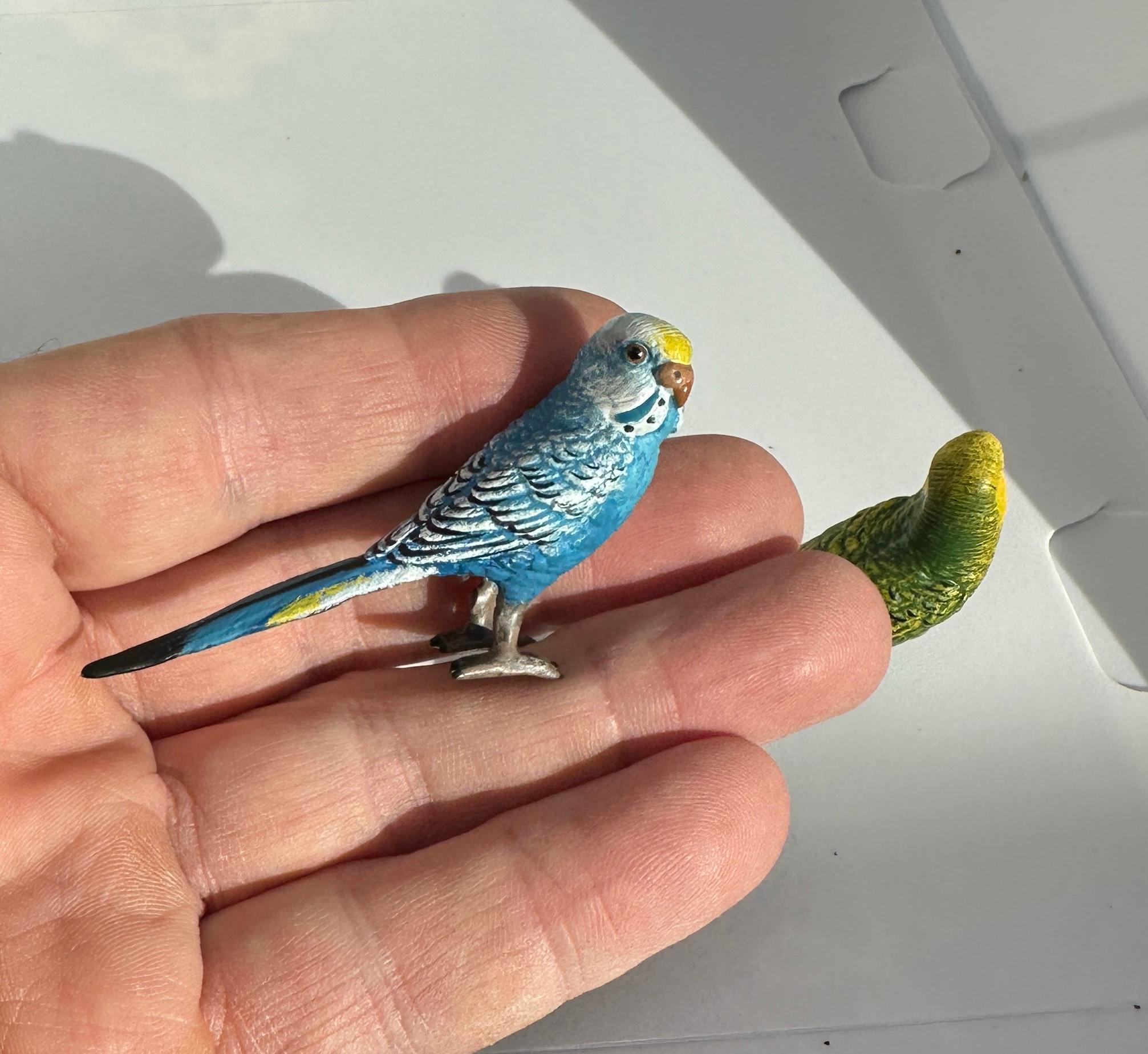 Two Parakeet Birds Bergman Austrian Vienna Bronze Parakeets Lovebird In Excellent Condition For Sale In New York, NY