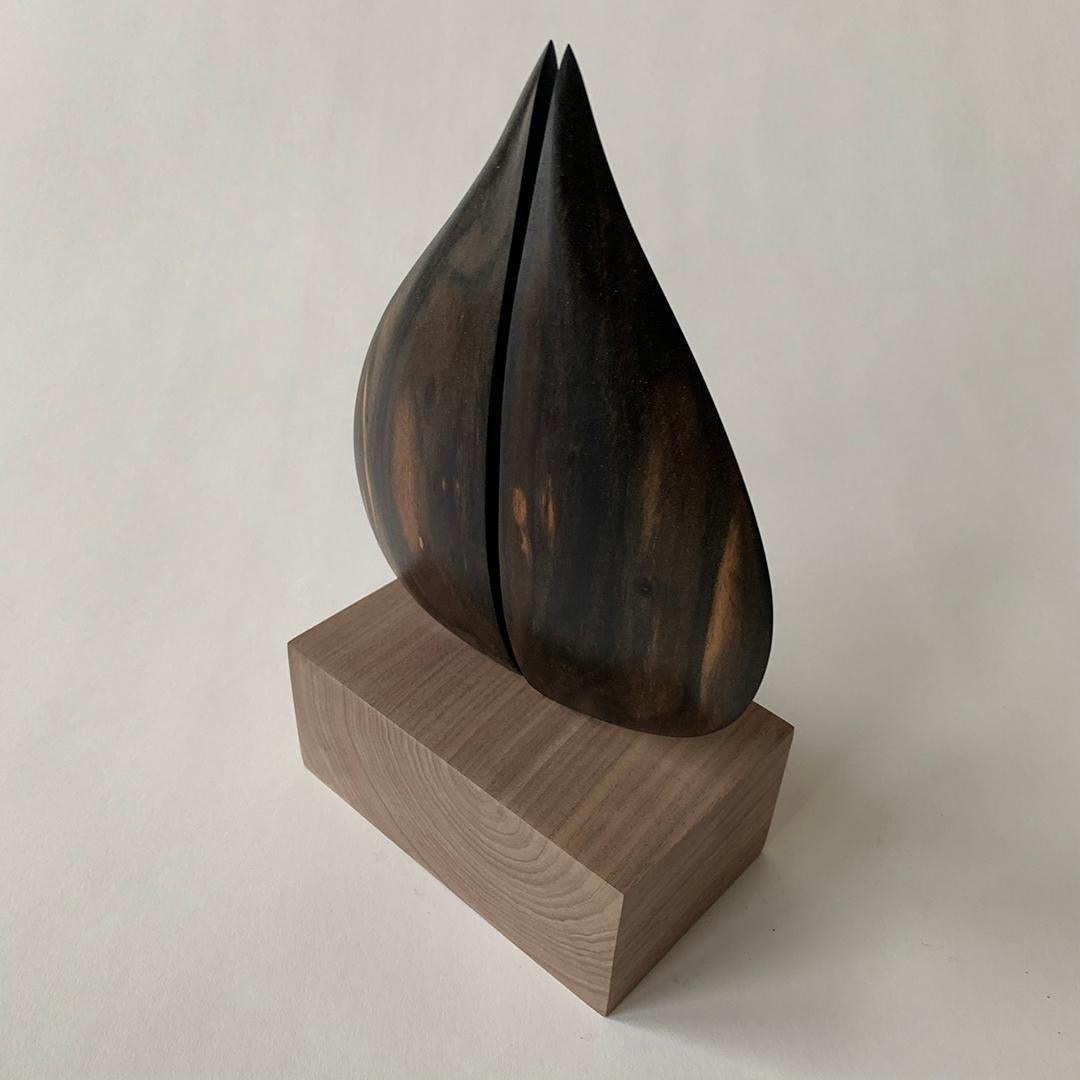 Ebony is a dense black/brown hardwood. Unlike most woods, ebony is dense enough to sink in water. Hand carved, shaped, and polished, this wood melds into beautiful symmetry in this geometric split tear drop shaped sculpture. The natural grain of the