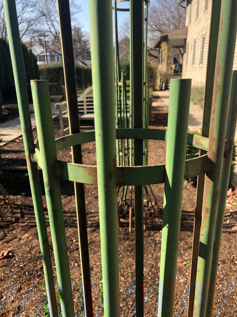 TwoPiece French Wrought Iron Tree Guards For Sale at 1stdibs