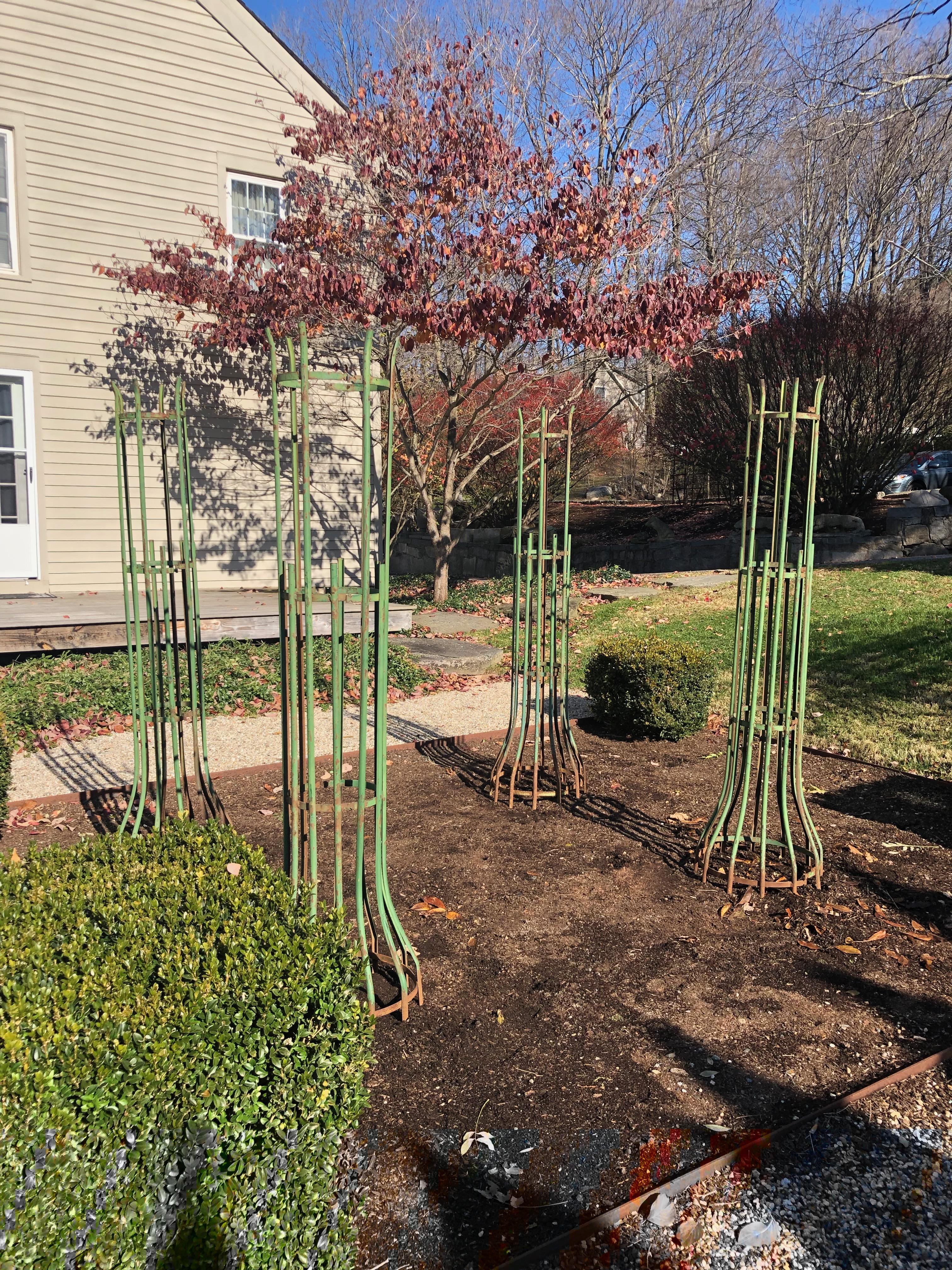 Trellises are always both practical and eye-catching items in the garden and it's not too often we find six tall French tree guards in a good green color. These have minor surface rusting to the bottoms where they are inserted into the earth, normal