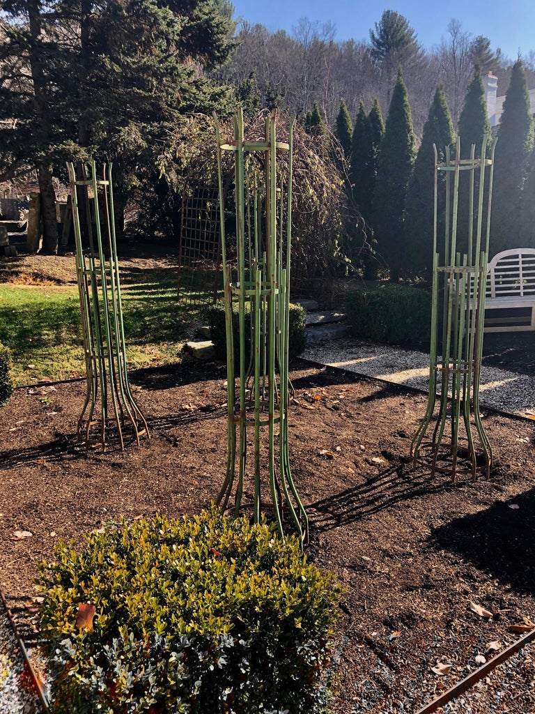 TwoPiece French Wrought Iron Tree Guards For Sale at 1stdibs