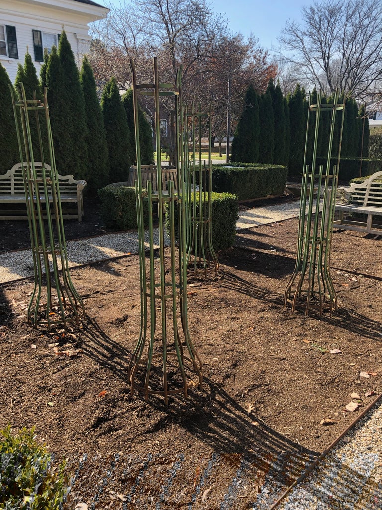 TwoPiece French Wrought Iron Tree Guards For Sale at 1stdibs