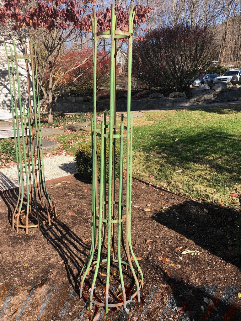 TwoPiece French Wrought Iron Tree Guards For Sale at 1stdibs