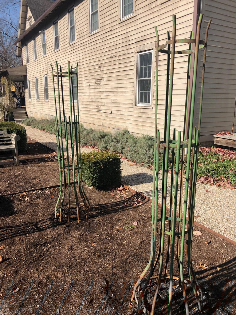 TwoPiece French Wrought Iron Tree Guards For Sale at 1stdibs