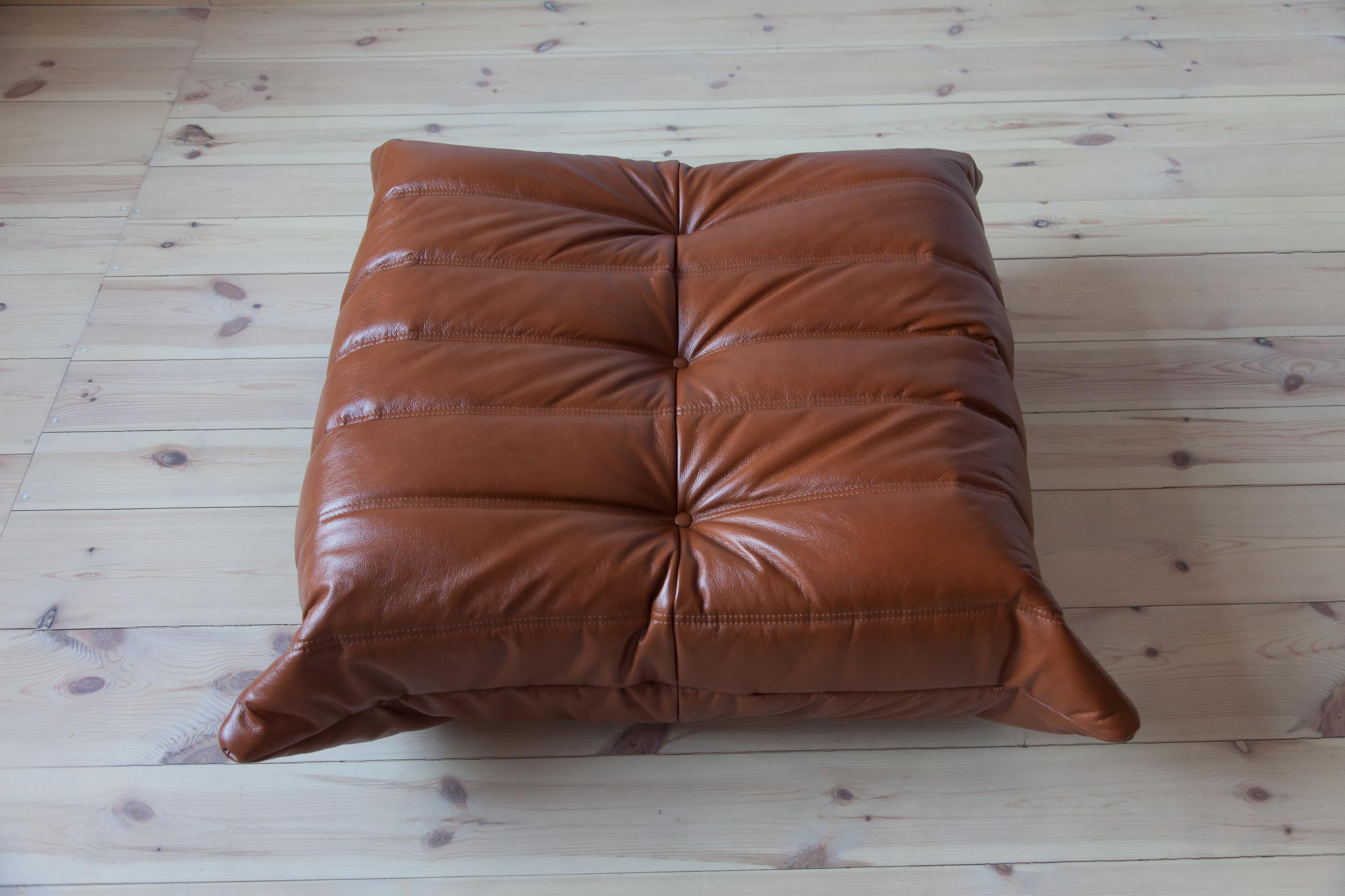 Two-Piece Togo Set by Michel Ducaroy, Ligne Roset, Whiskey Brown Leather For Sale 2