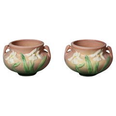 Due pezzi di Roseville Pottery con motivo Iris della metà del XX secolo