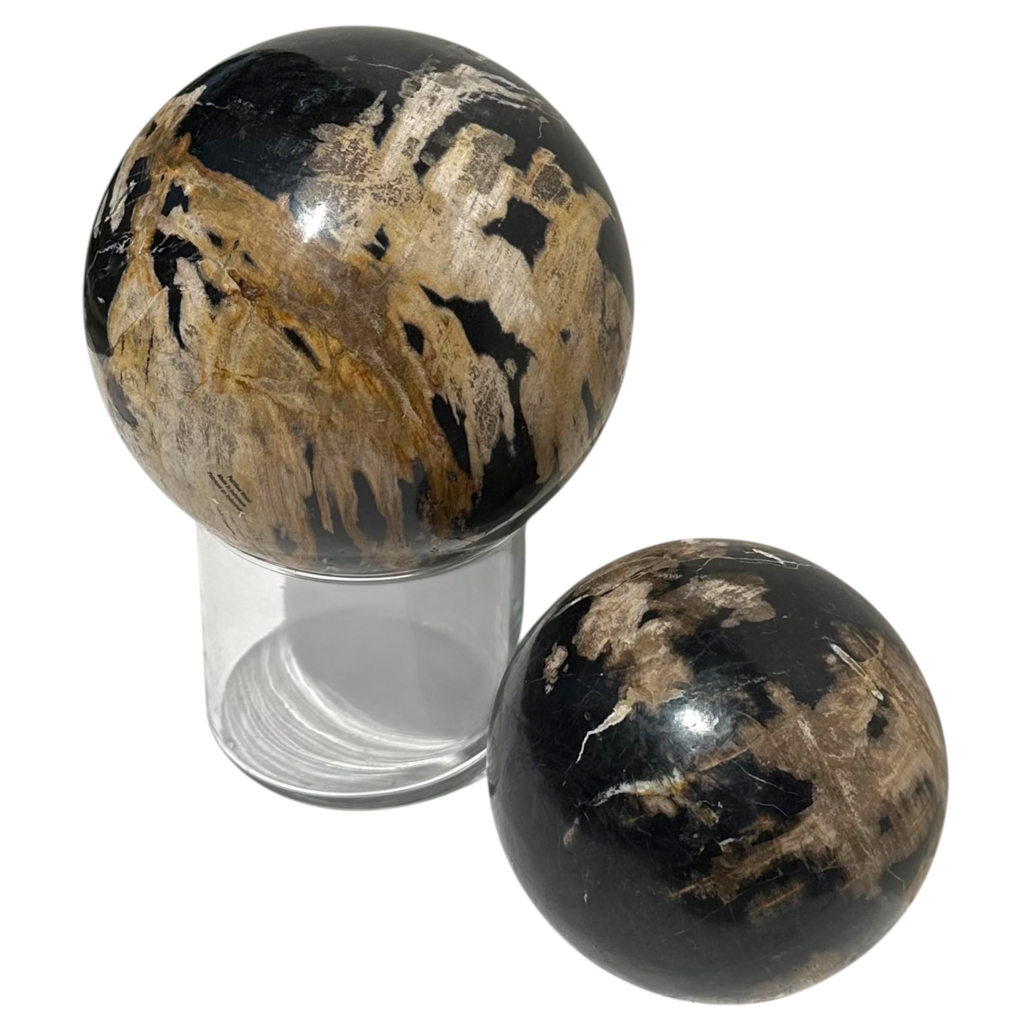 Two Polished Petrified Polished Wood Spheres. Organic Sculptural Accents.