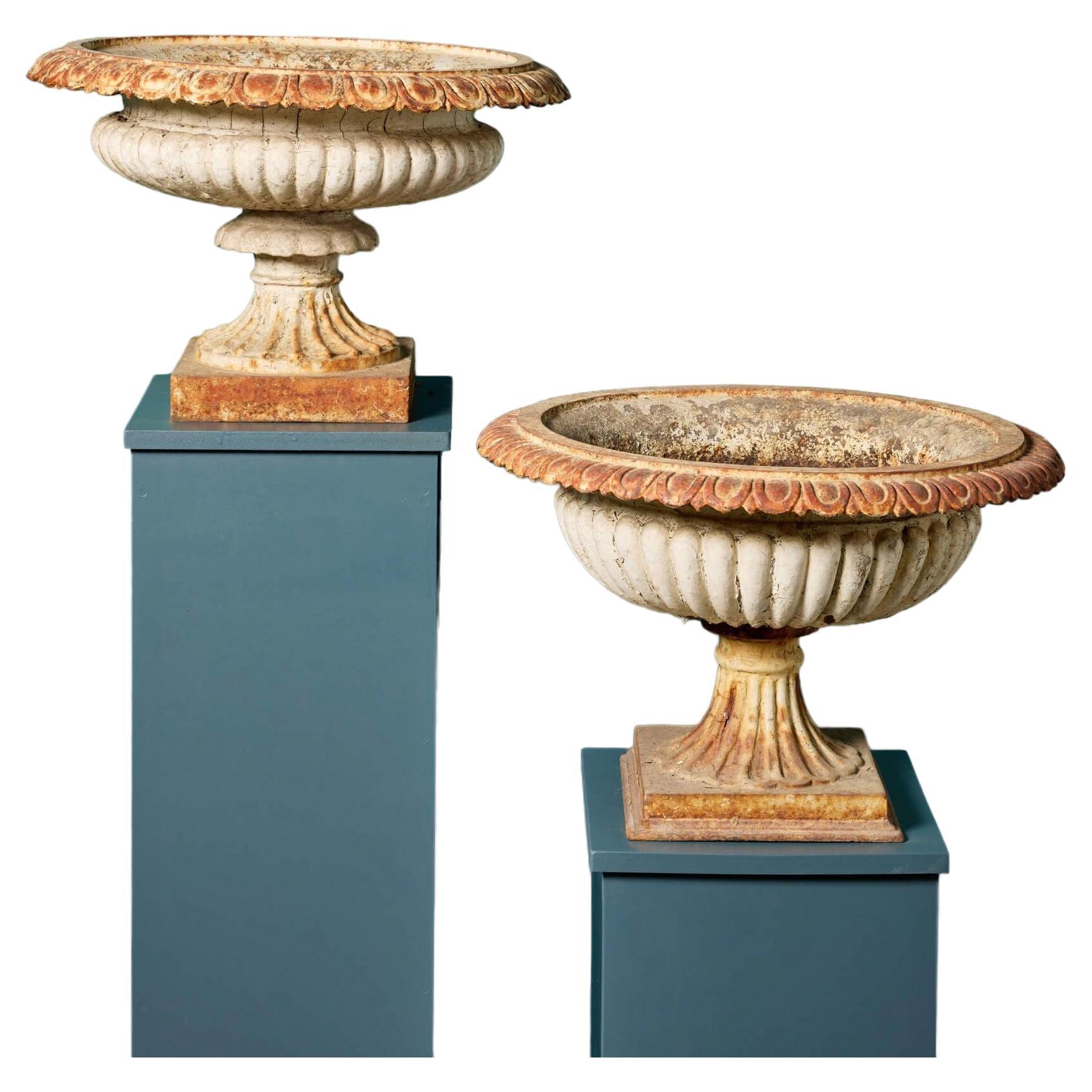 Deux urnes de jardin récupérées de style géorgien "Tazza". en vente