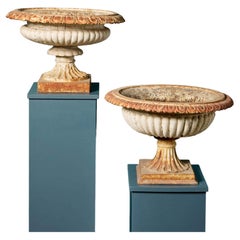 Deux urnes de jardin récupérées de style géorgien "Tazza".
