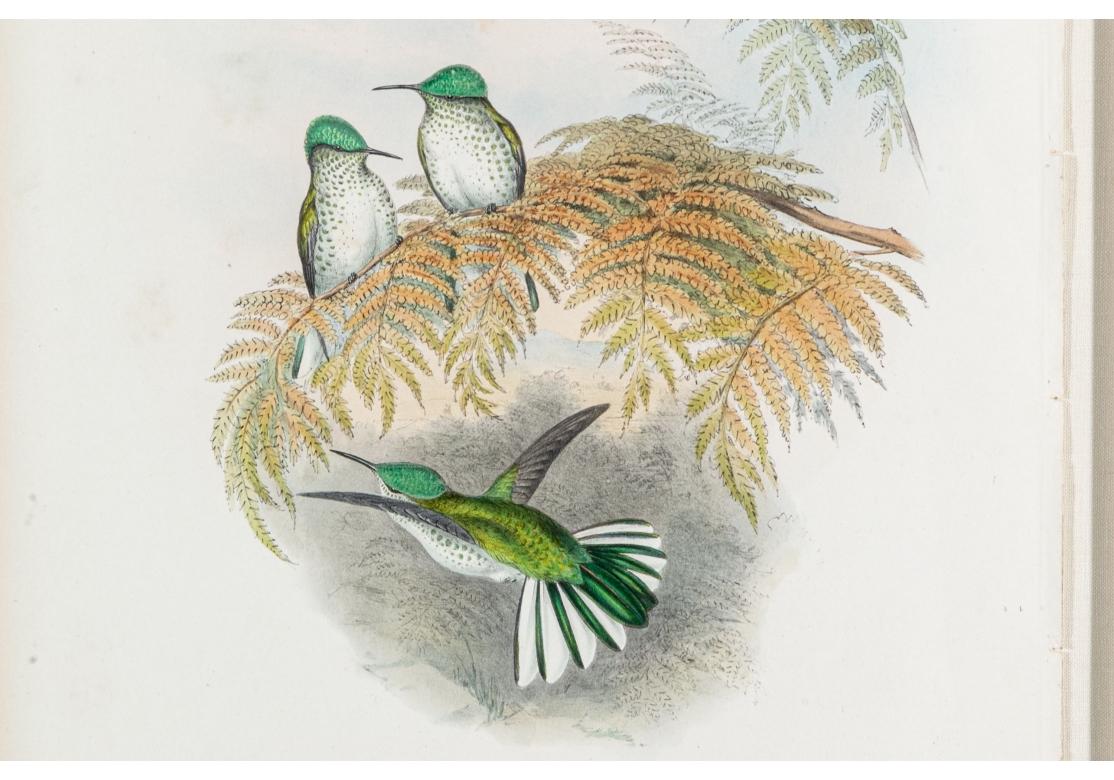 Two Richter and Gould Color Hummingbird Lithographs 3