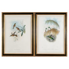 Deux  Richter And Gould - Lithographies - Couleurs d'oiseaux volants