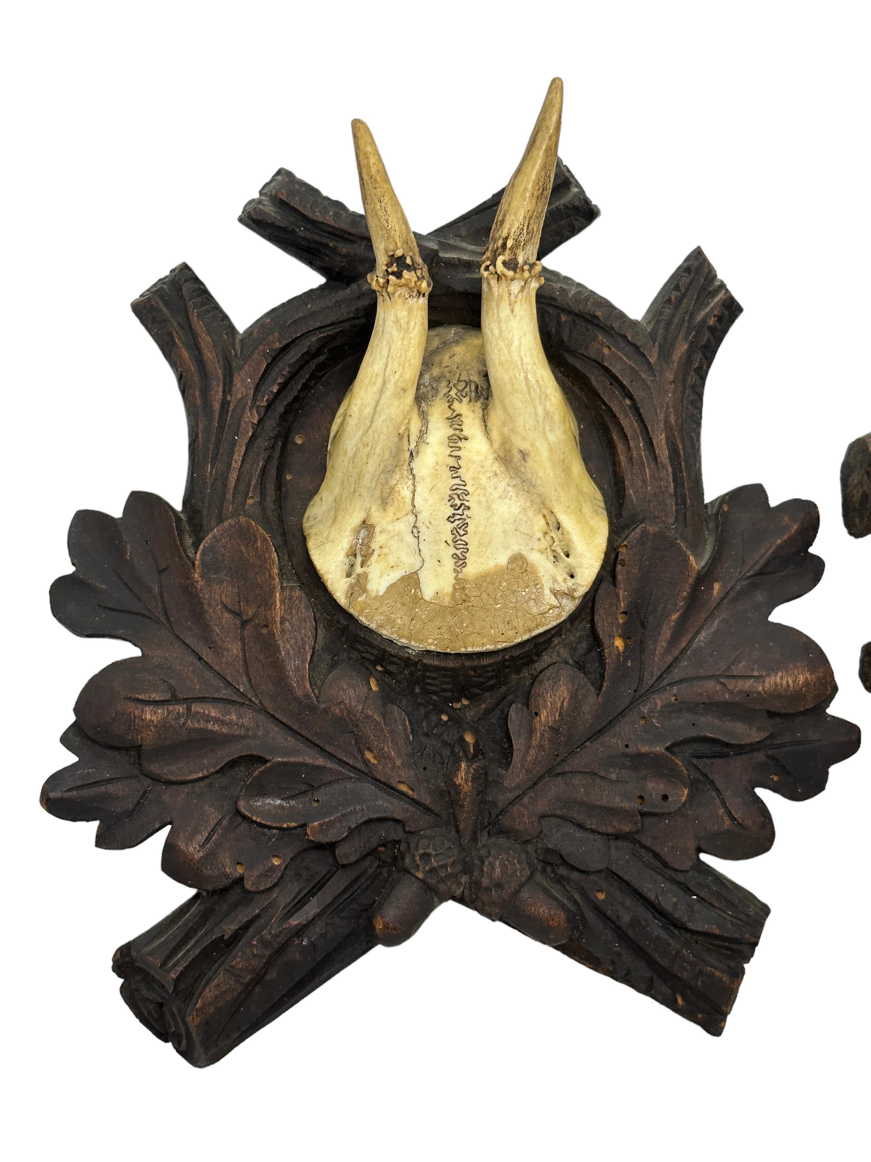 A set of two vintage Black Forest deer antler trophies on hand carved, Black Forest wooden plaques. I think they are from the early 20th Century. Measurement's given in dimensions section refers to the tallest item. A nice addition to your hunters