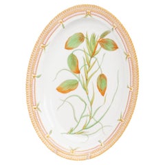 Piatti e servizi in ceramica