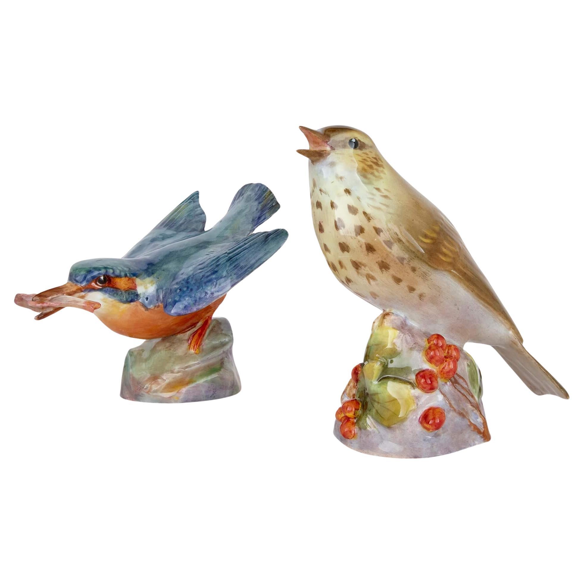 Due modelli di uccelli in porcellana di Royal Worcester raffiguranti un Kingfisher e un tordo
