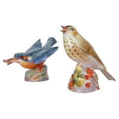 Retro Two Royal Worcester Porcelain Bird Models of a Kingfisher and a Thrush