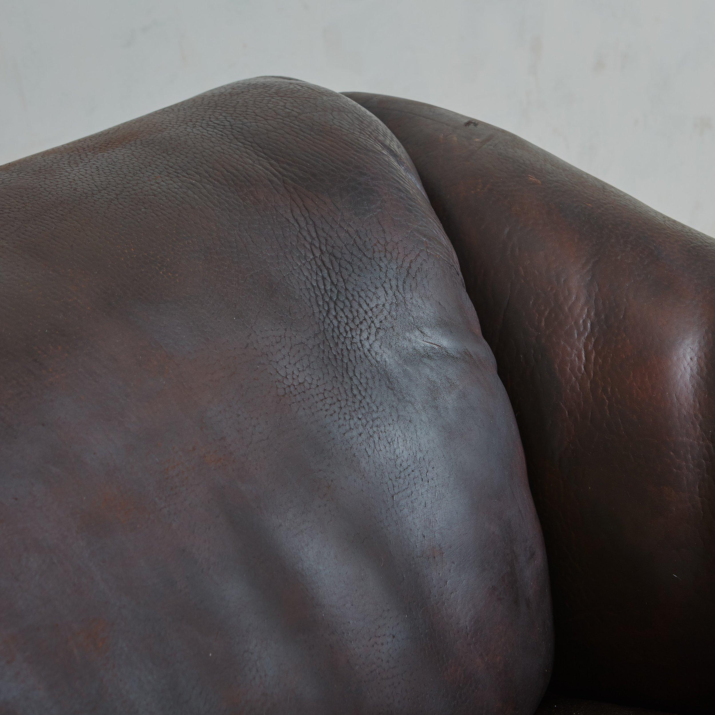 Two-Seat ‘DS-47’ Sofa in Buffalo Leather by De Sede, Switzerland 1970s For Sale 2