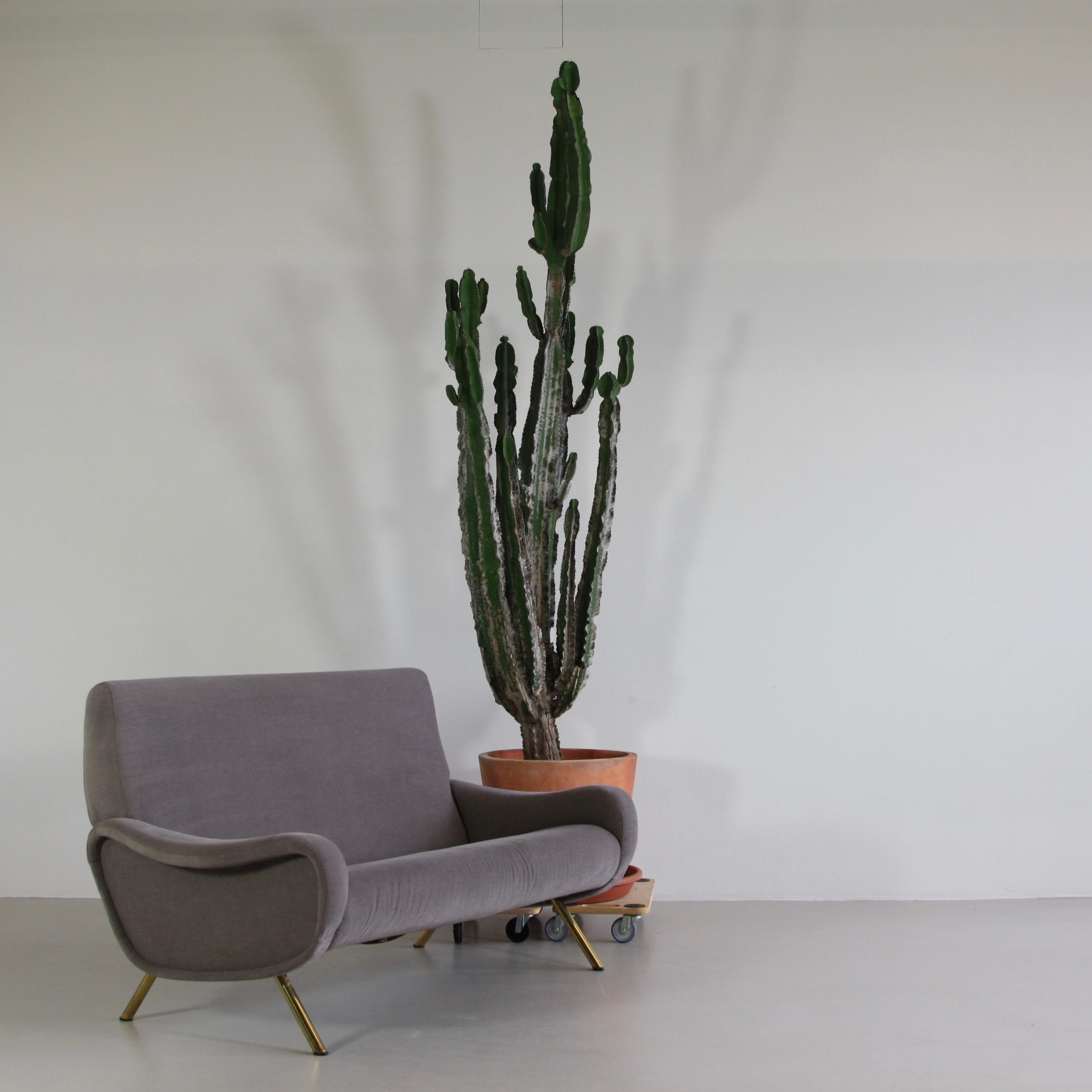 Two-Seat Sofa by Marco Zanuso for Arflex 1