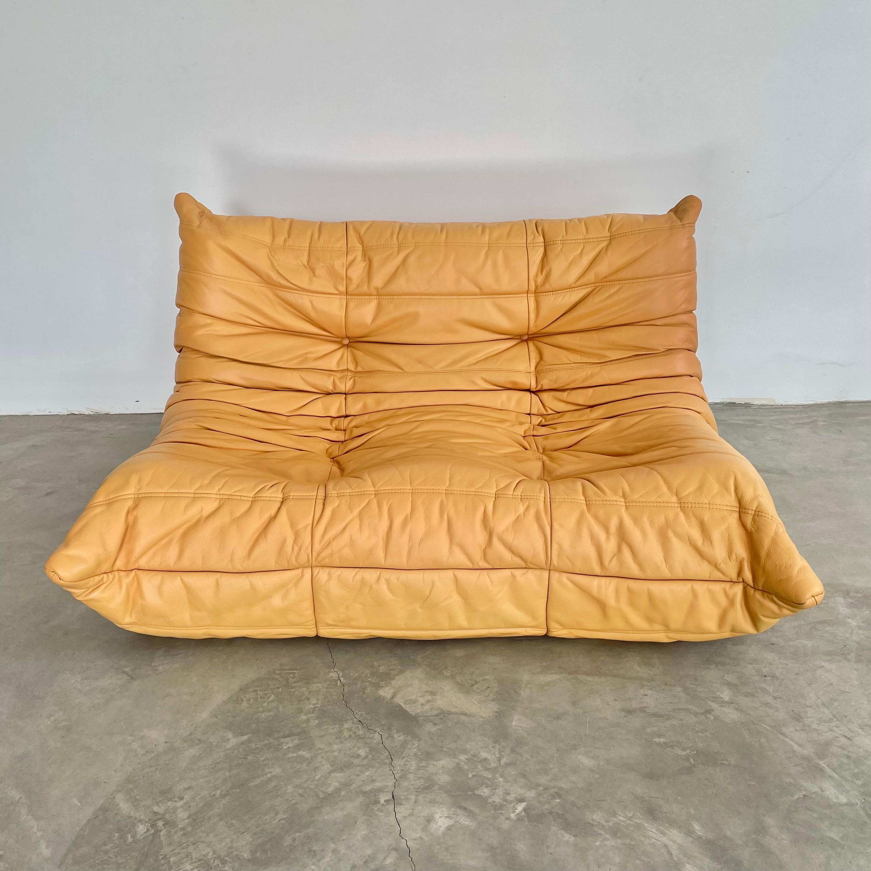 Canapé classique français deux places Togo par Michel Ducaroy pour la marque de luxe Ligne Roset. Conçu à l'origine dans les années 1970, le canapé togo est devenu un classique du design. Ce canapé est livré dans son cuir jaune vintage d'origine qui