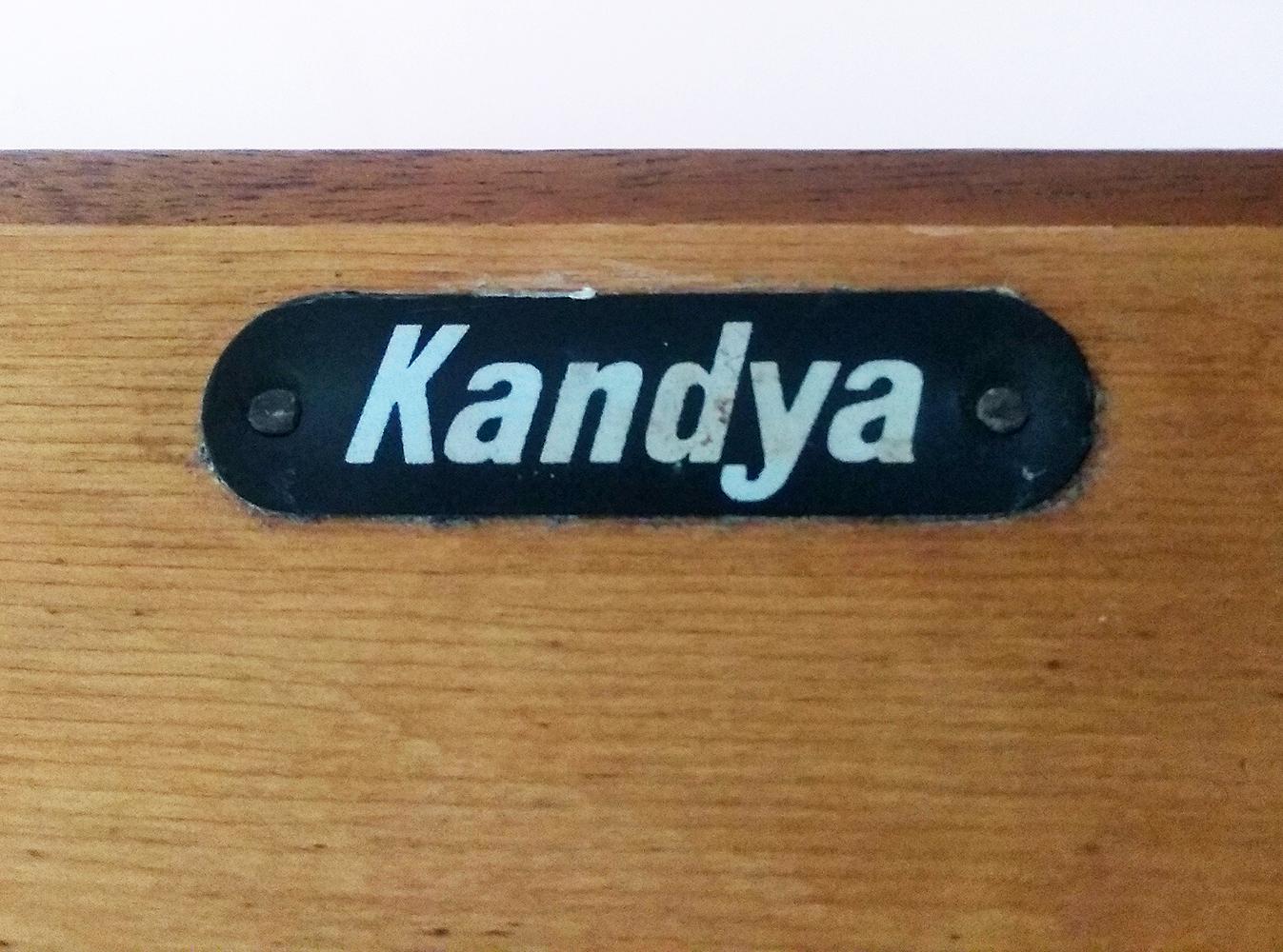 20th Century Two-Sided 1950s Room Divider Display Cabinet by Frank Guille for Kandya