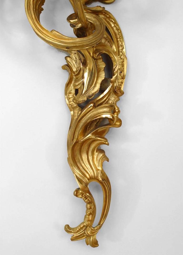 19th Century 4 French Louis XV Style Gilt Monumental Wall Sconces