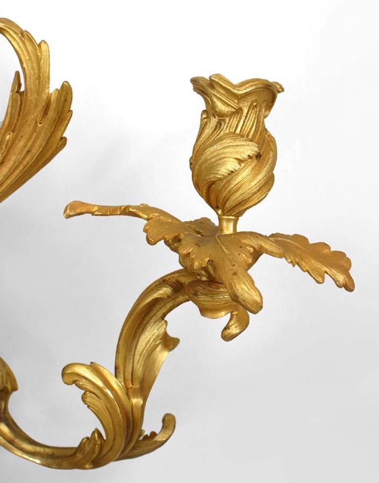 4 French Louis XV Style Gilt Monumental Wall Sconces 2