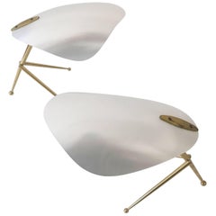 Two Sputnik Table Lamps by Kaiser Leuchten, 1950, Germany