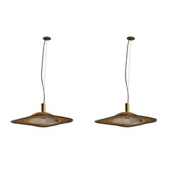 Vintage Two Suspension Lights by Reggiani