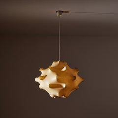 One "Taraxacum" Suspension Light by Achille & Pier Giacomo Castiglioni for Flos
