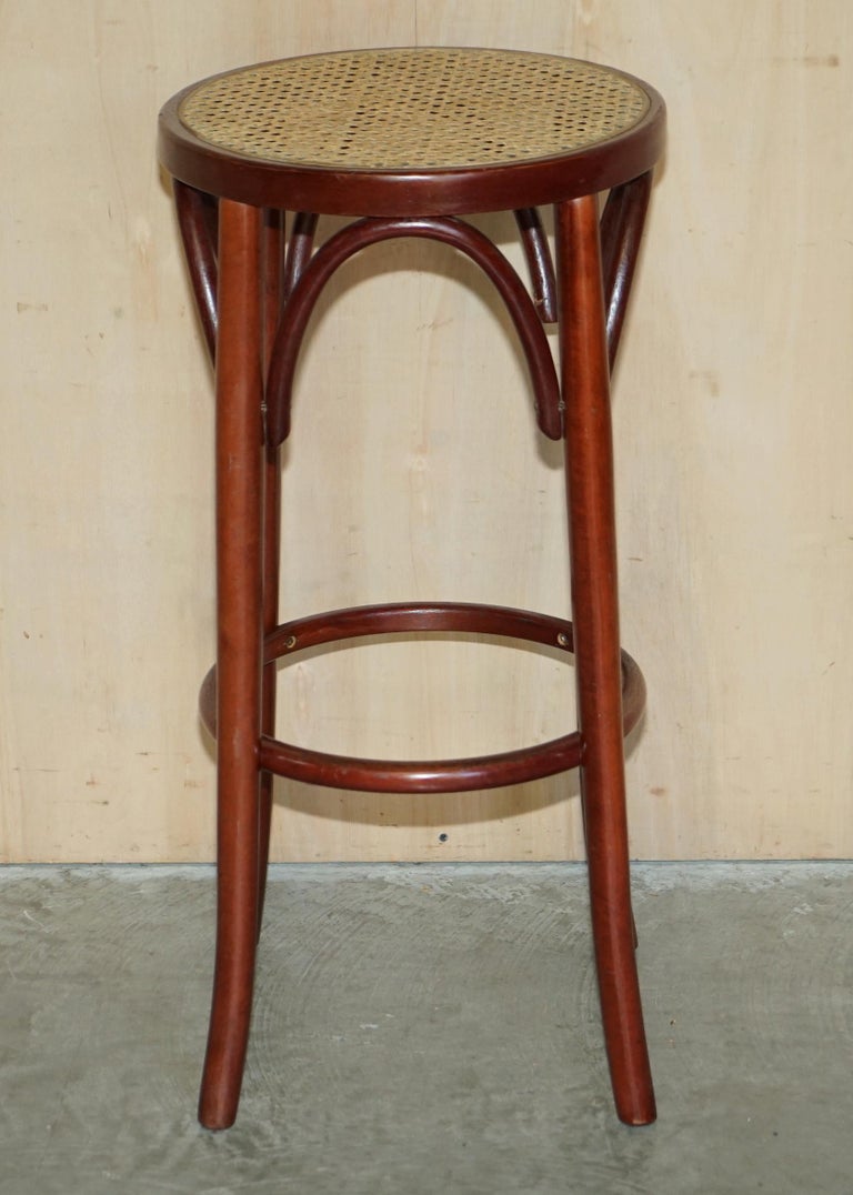 Two Style Bentwood Tall Kitchen Bar Stools with Elegant Frames 2