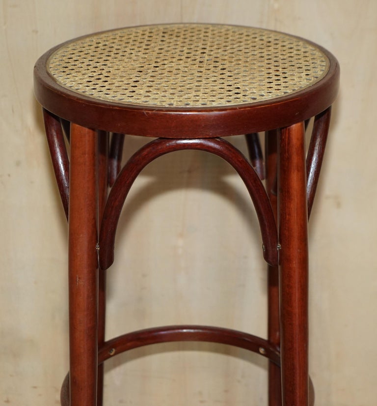 Two Style Bentwood Tall Kitchen Bar Stools with Elegant Frames 2