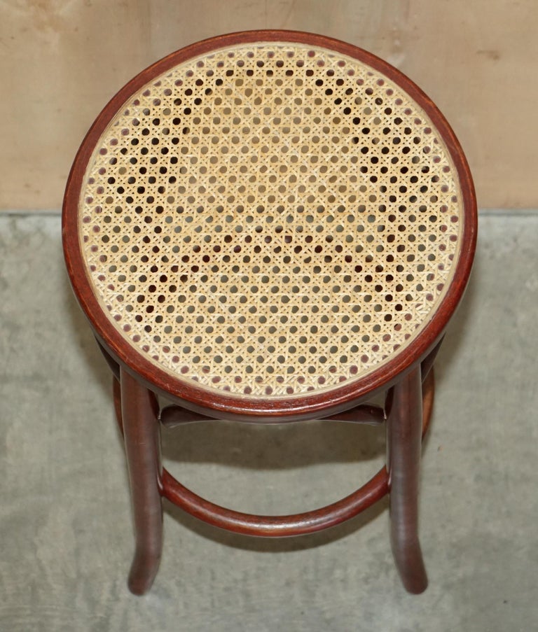 Two Style Bentwood Tall Kitchen Bar Stools with Elegant Frames 2 For Sale at 1stDibs