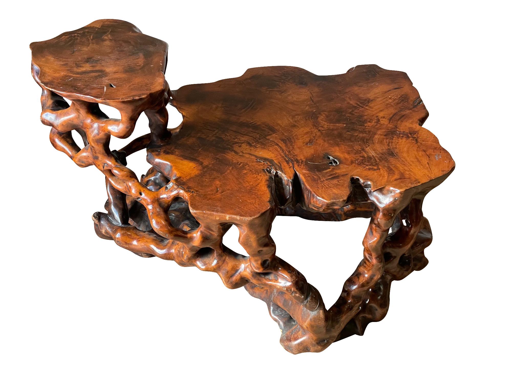 Organically Shaped Two Tiered Root Coffee Table, France, Mid Century In Good Condition For Sale In New York, NY