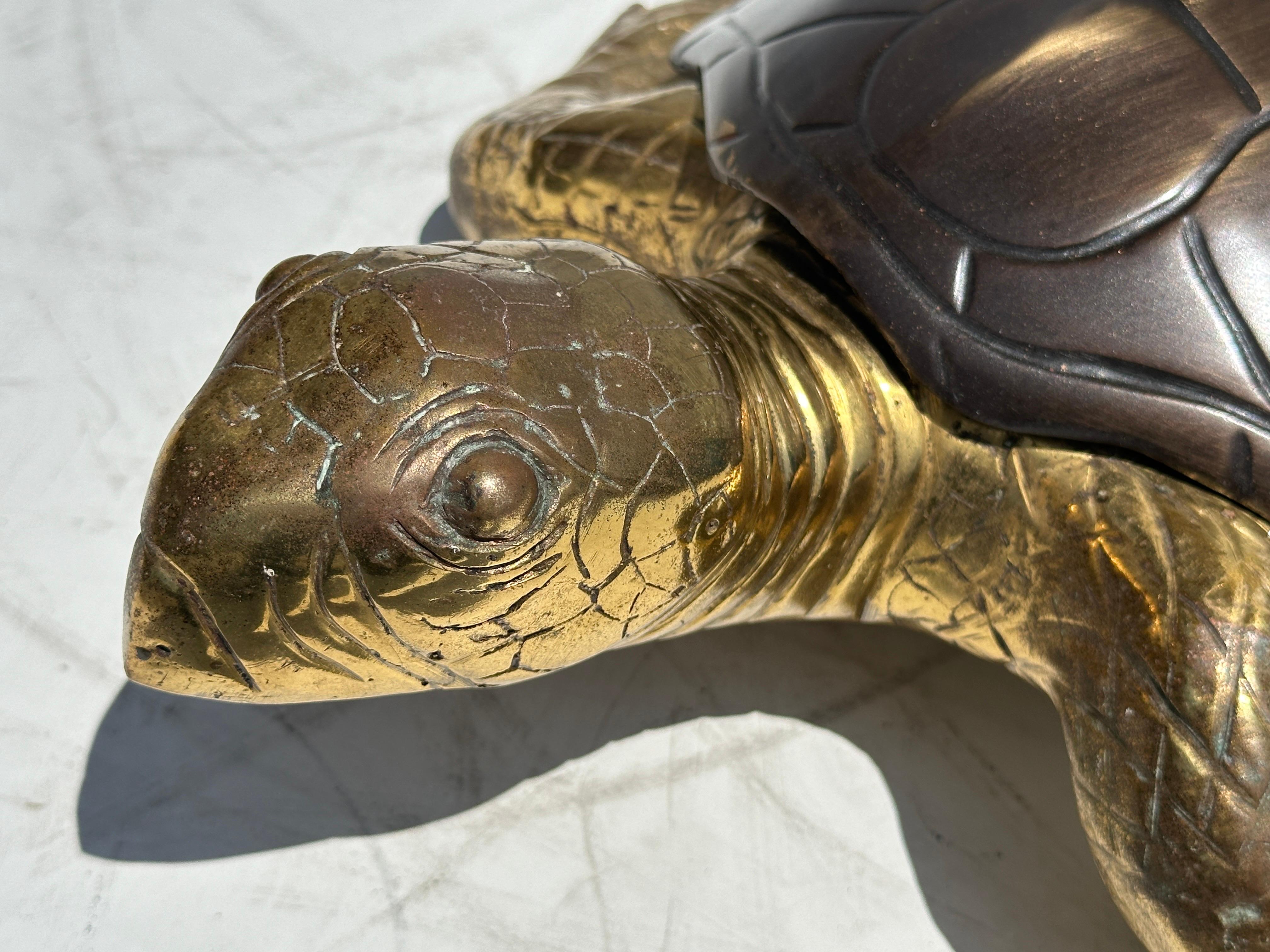 Two Tone Brass Hawksbill Turtle Box / Catch-All 1