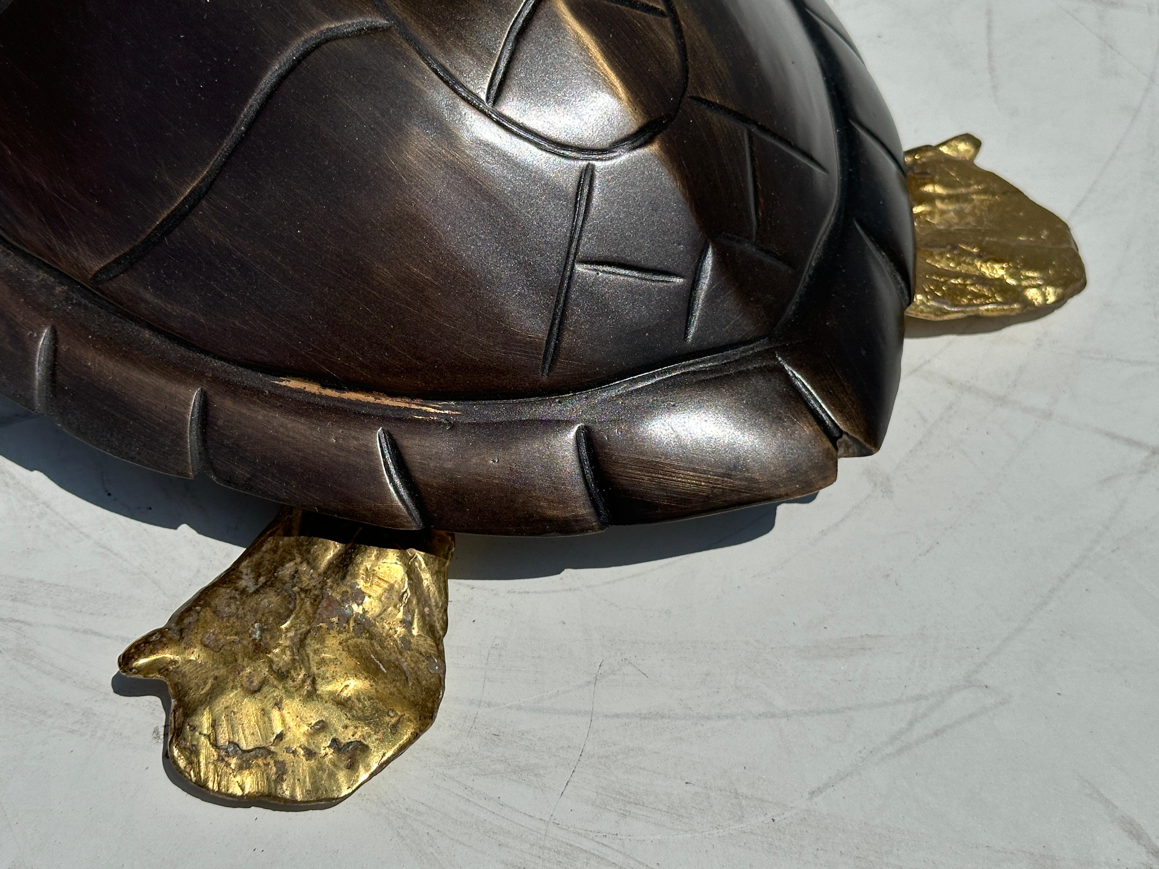 Two Tone Brass Hawksbill Turtle Box / Catch-All 2