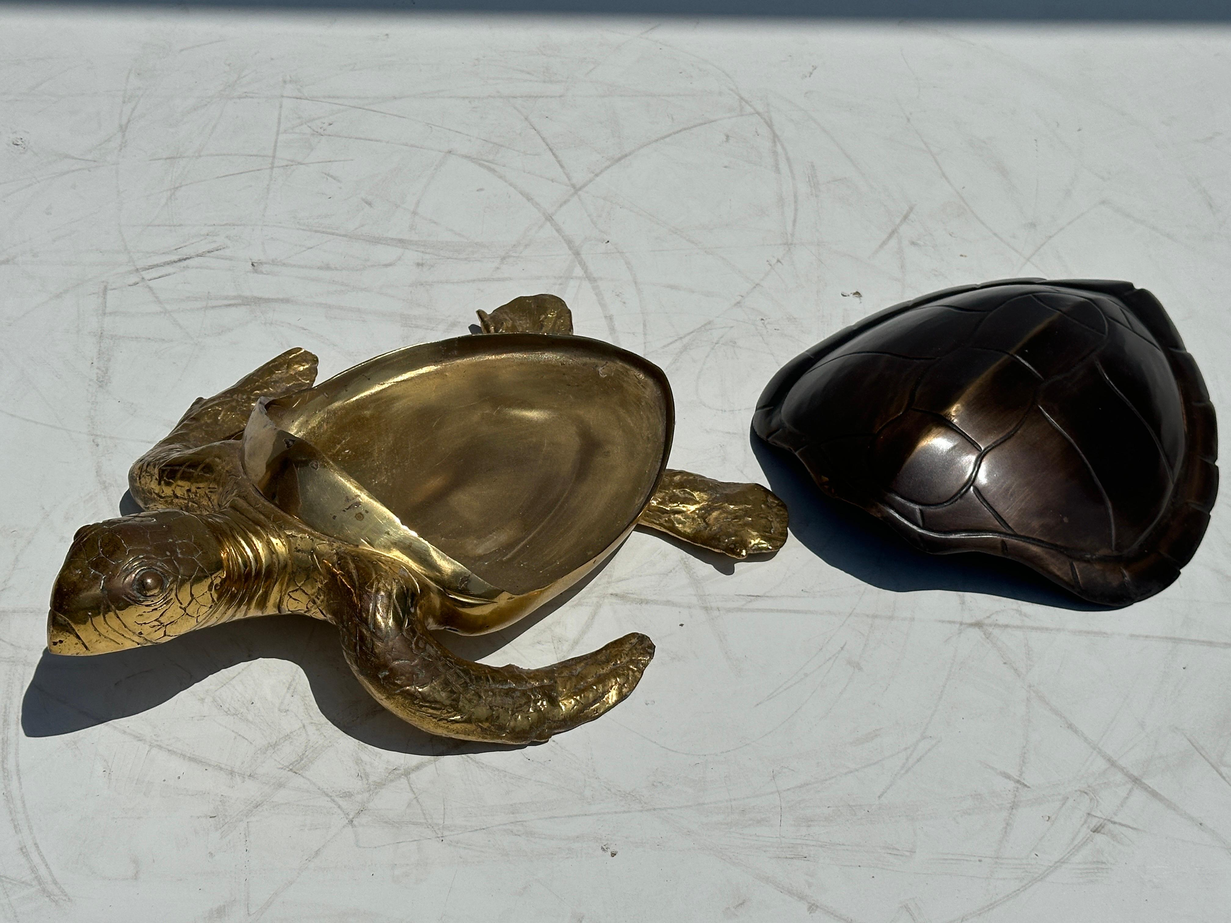 Two Tone Brass Hawksbill Turtle Box / Catch-All 3