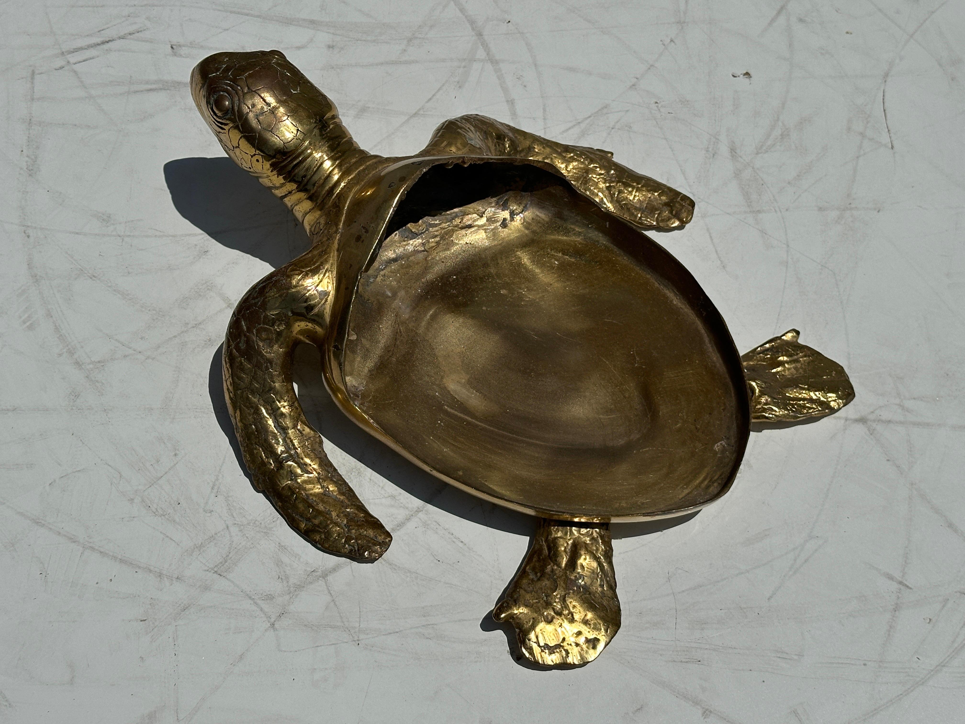 Two Tone Brass Hawksbill Turtle Box / Catch-All 4