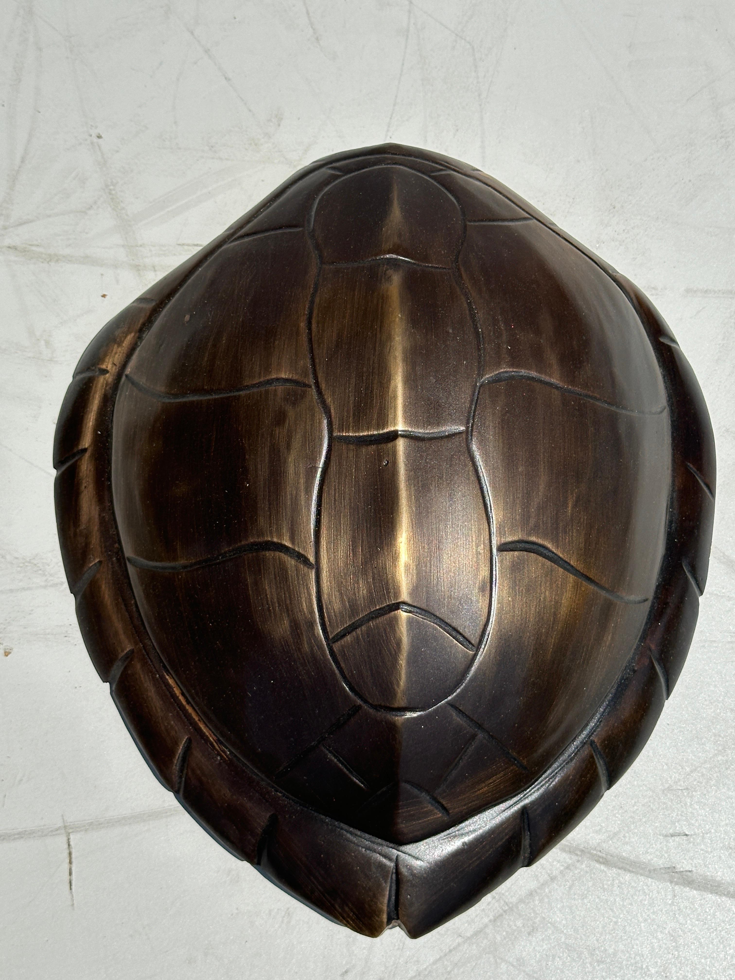 Two Tone Brass Hawksbill Turtle Box / Catch-All 5