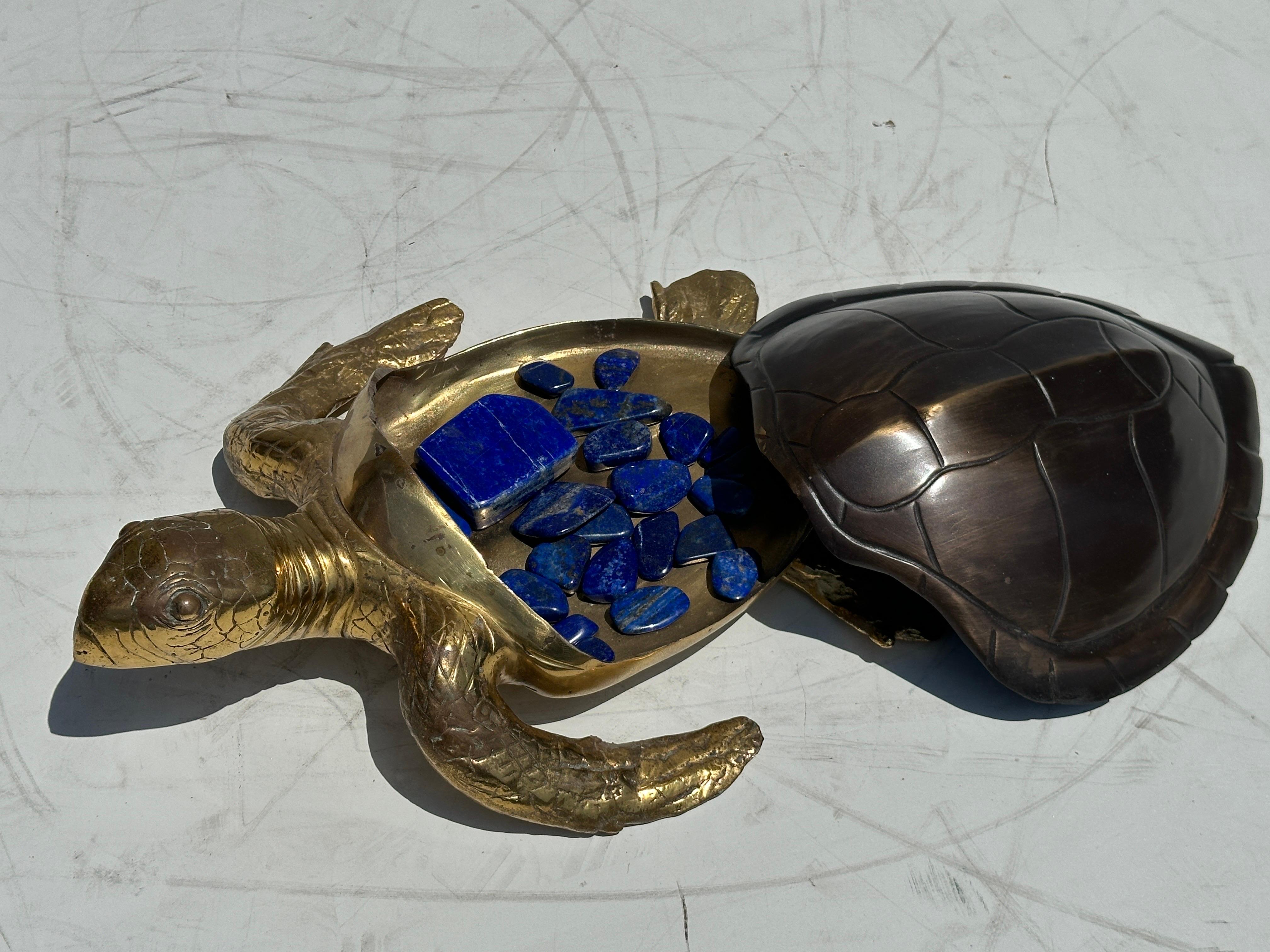 Two Tone Brass Hawksbill Turtle Box / Catch-All 6