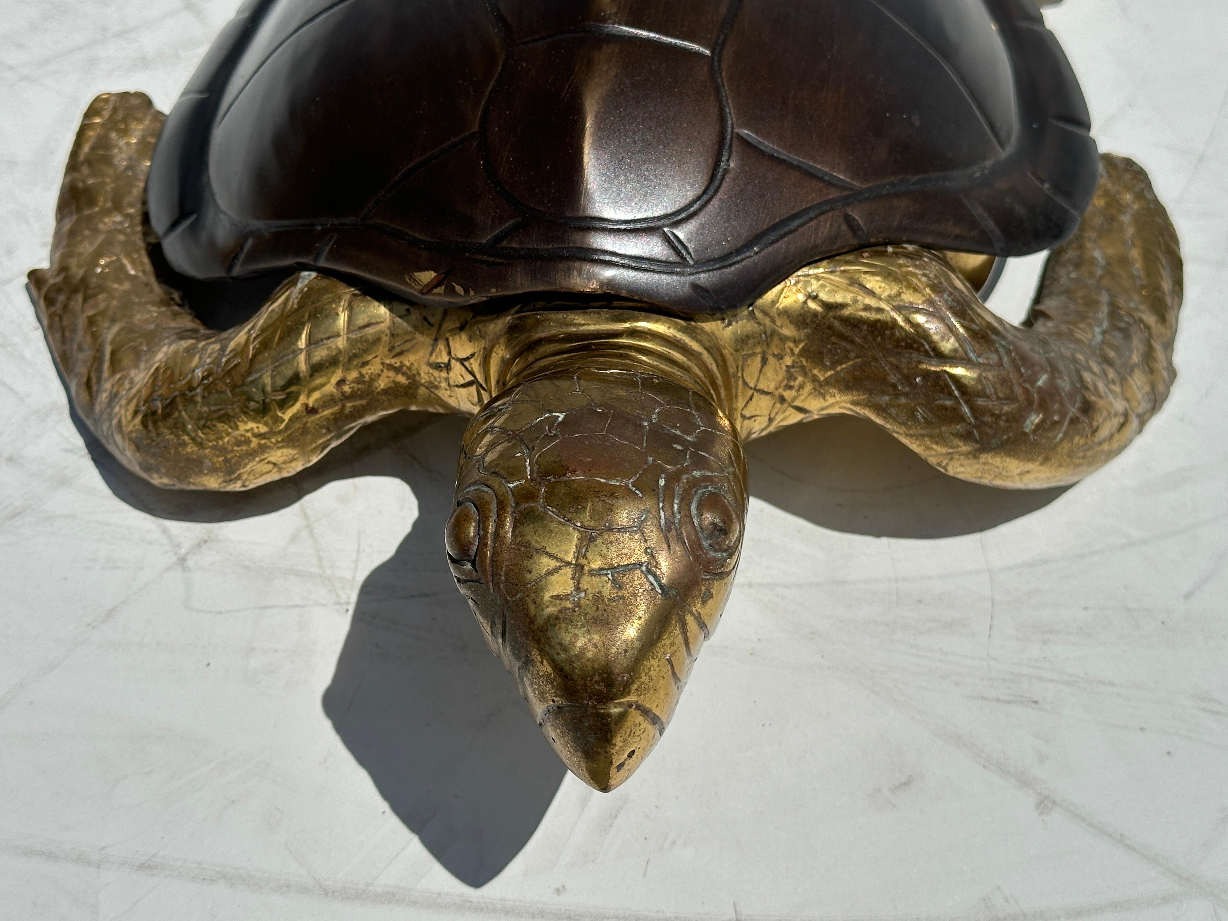 Two Tone Brass Hawksbill Turtle Box / Catch-All 11