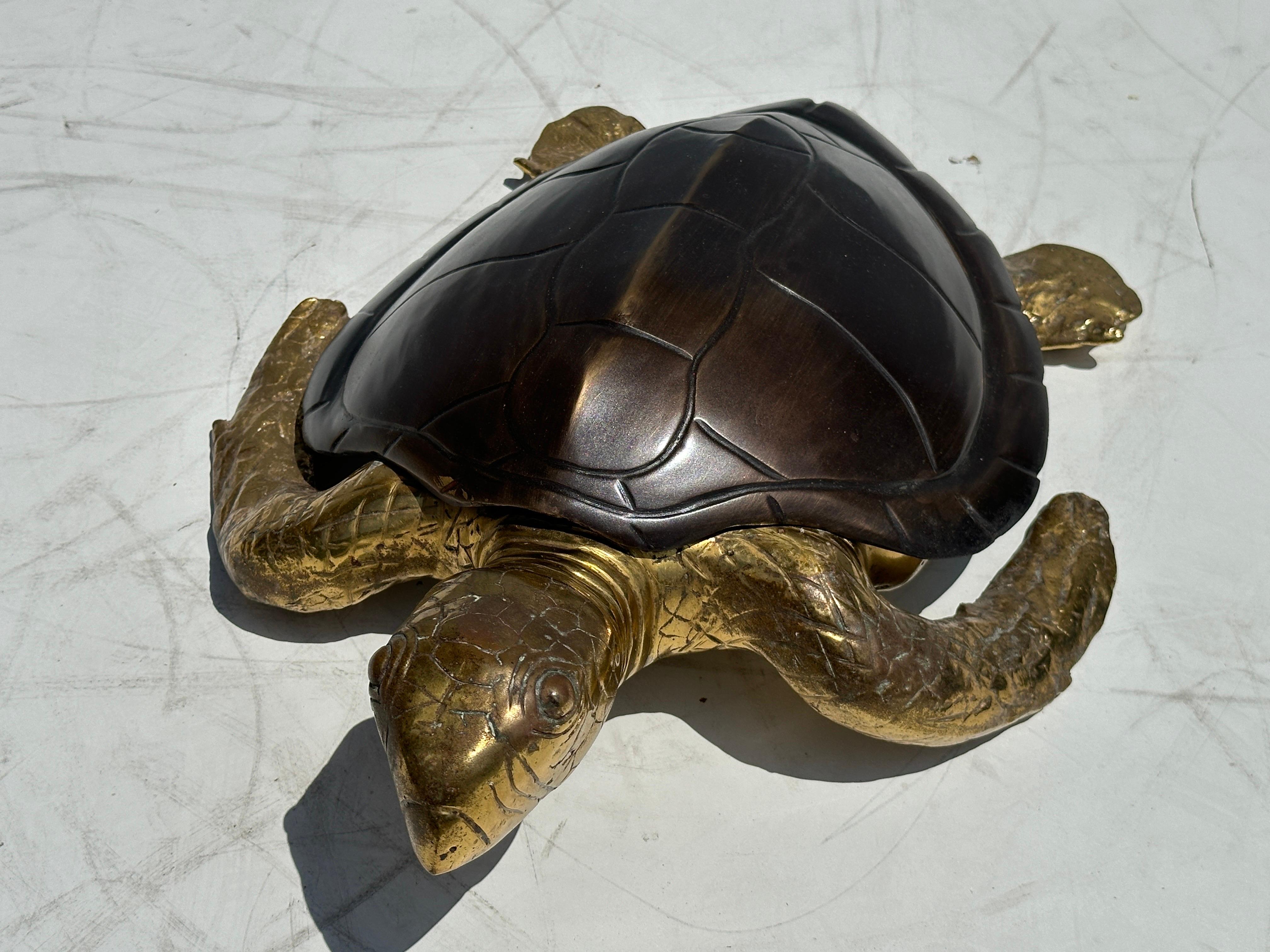 brass turtle box