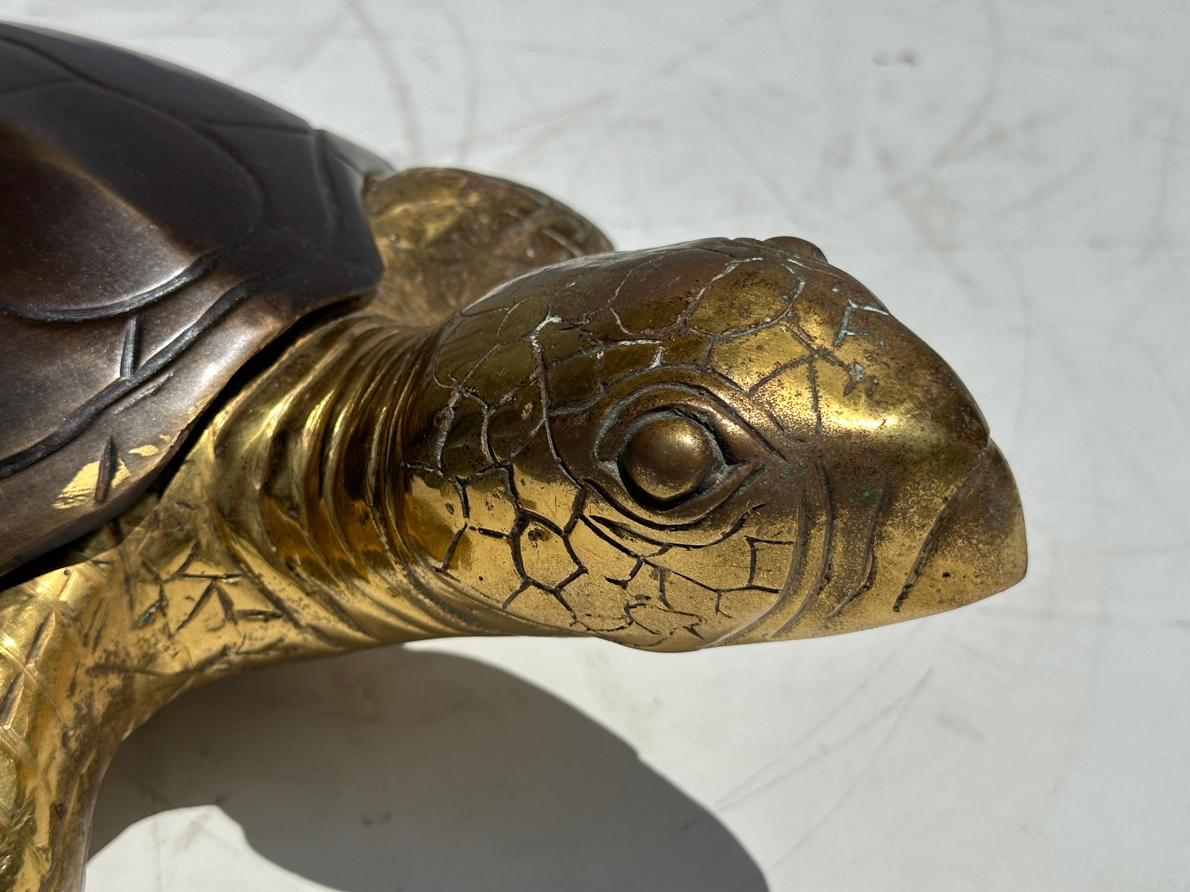 Patinated Two Tone Brass Hawksbill Turtle Box / Catch-All
