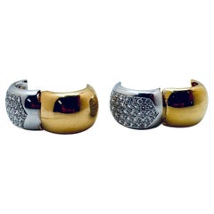Two-Tone Diamond Covered Earrings