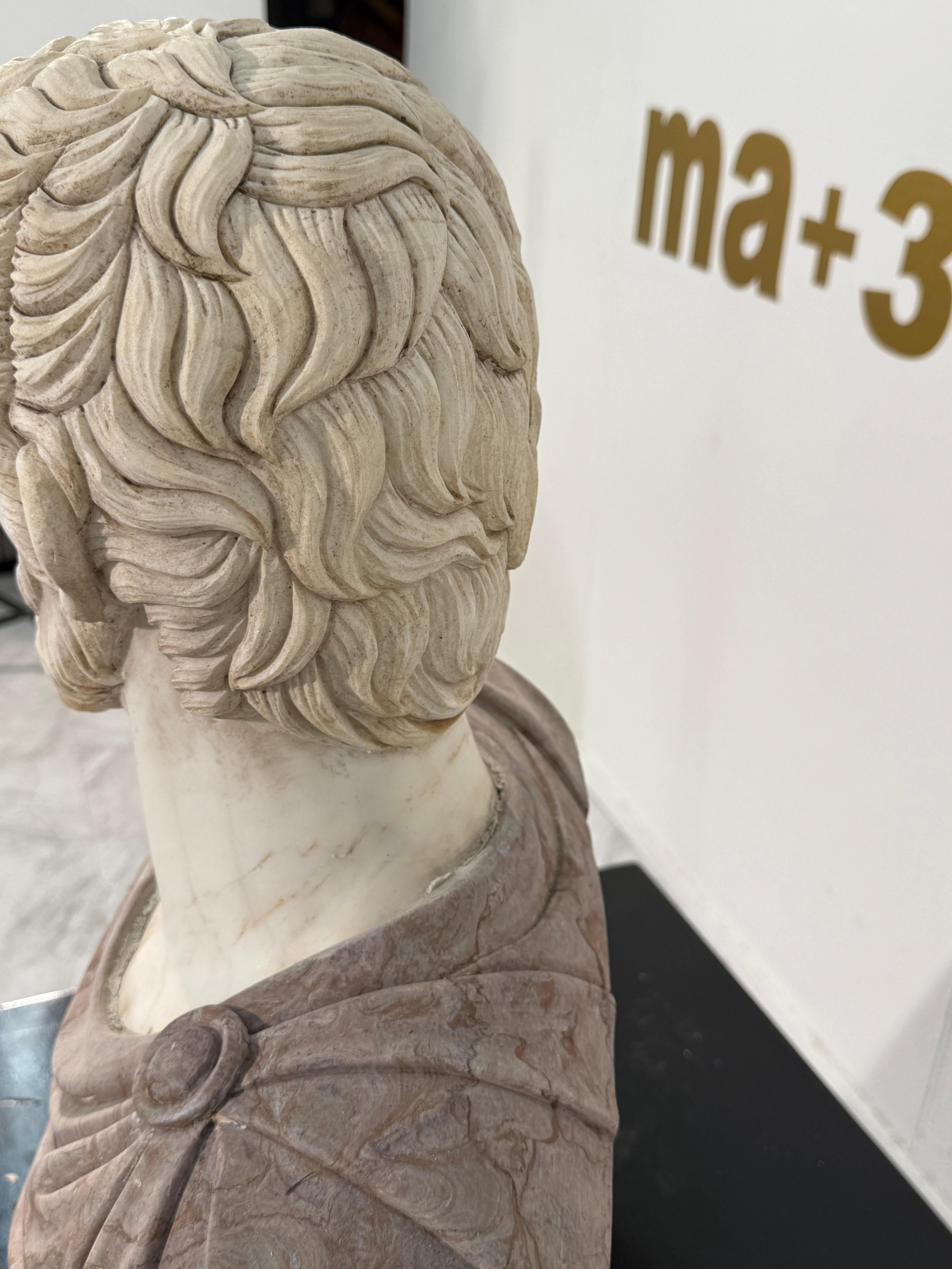 Two-Tone Marble Bust of a Roman Nobleman For Sale 4