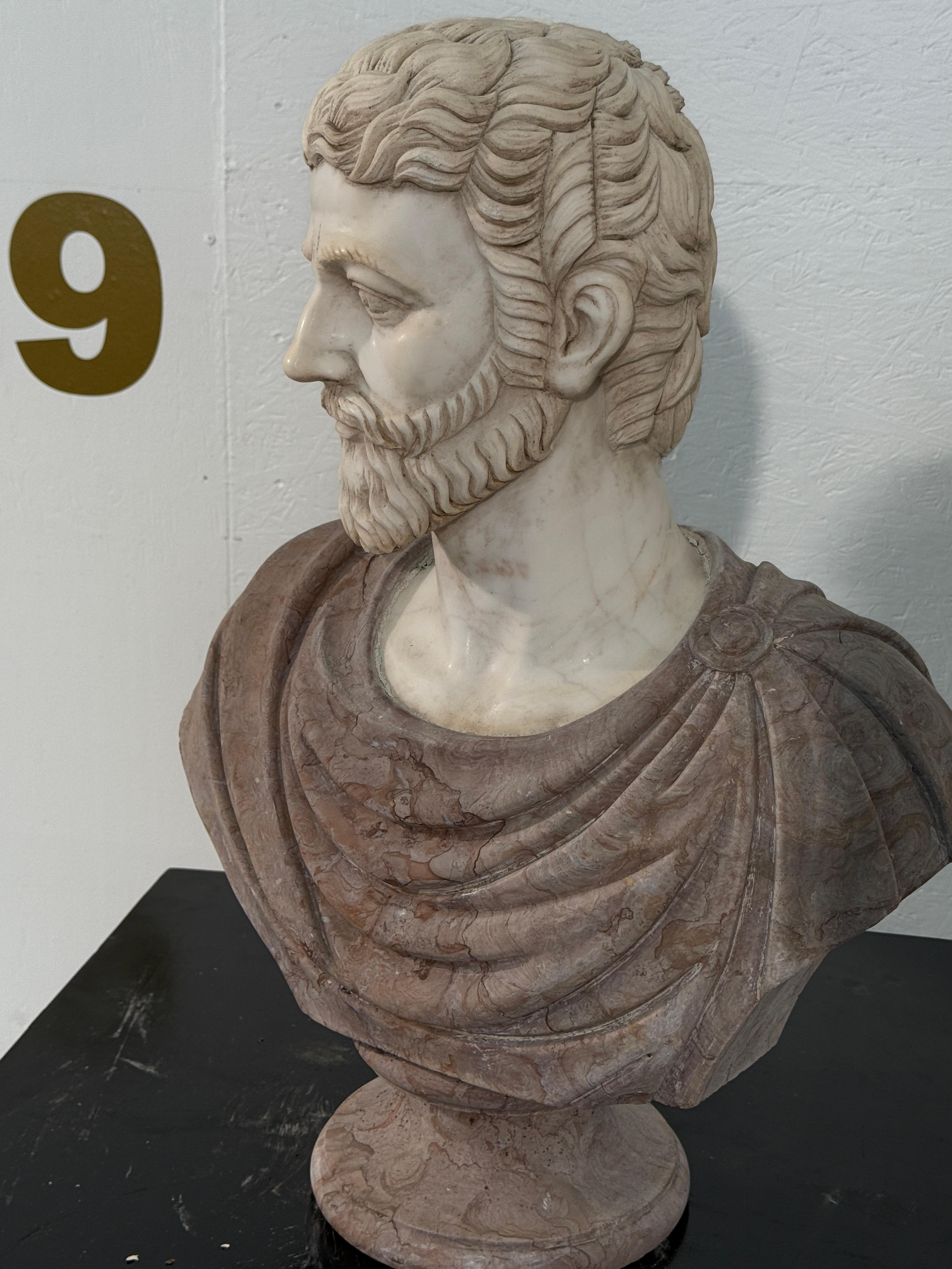 An elegant two-tone marble bust of a Roman nobleman, showcasing exceptional craftsmanship and classical refinement. The finely carved white marble head, with detailed curls and a neatly trimmed beard, conveys a sense of wisdom and quiet authority.