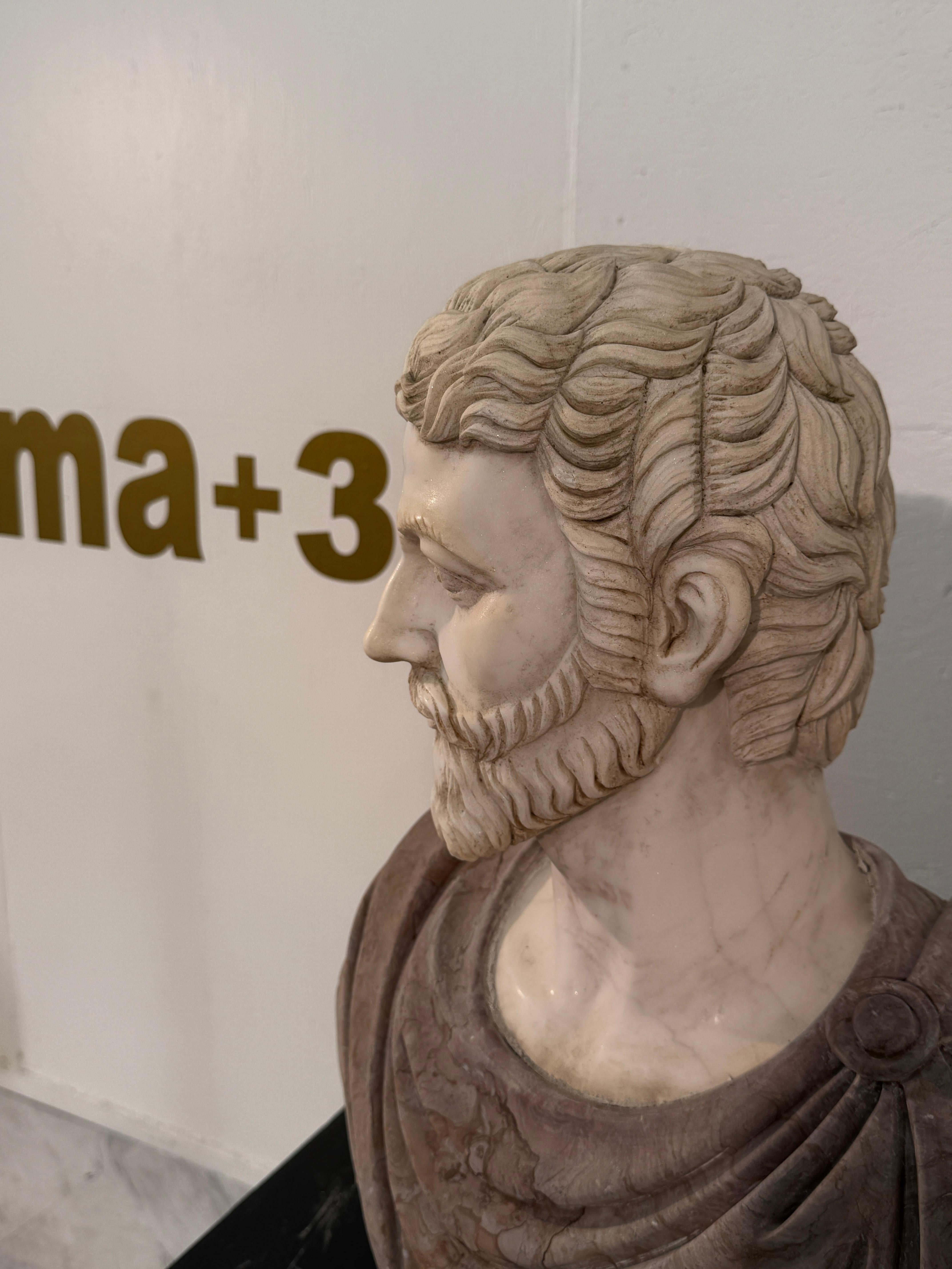 Two-Tone Marble Bust of a Roman Nobleman For Sale 2