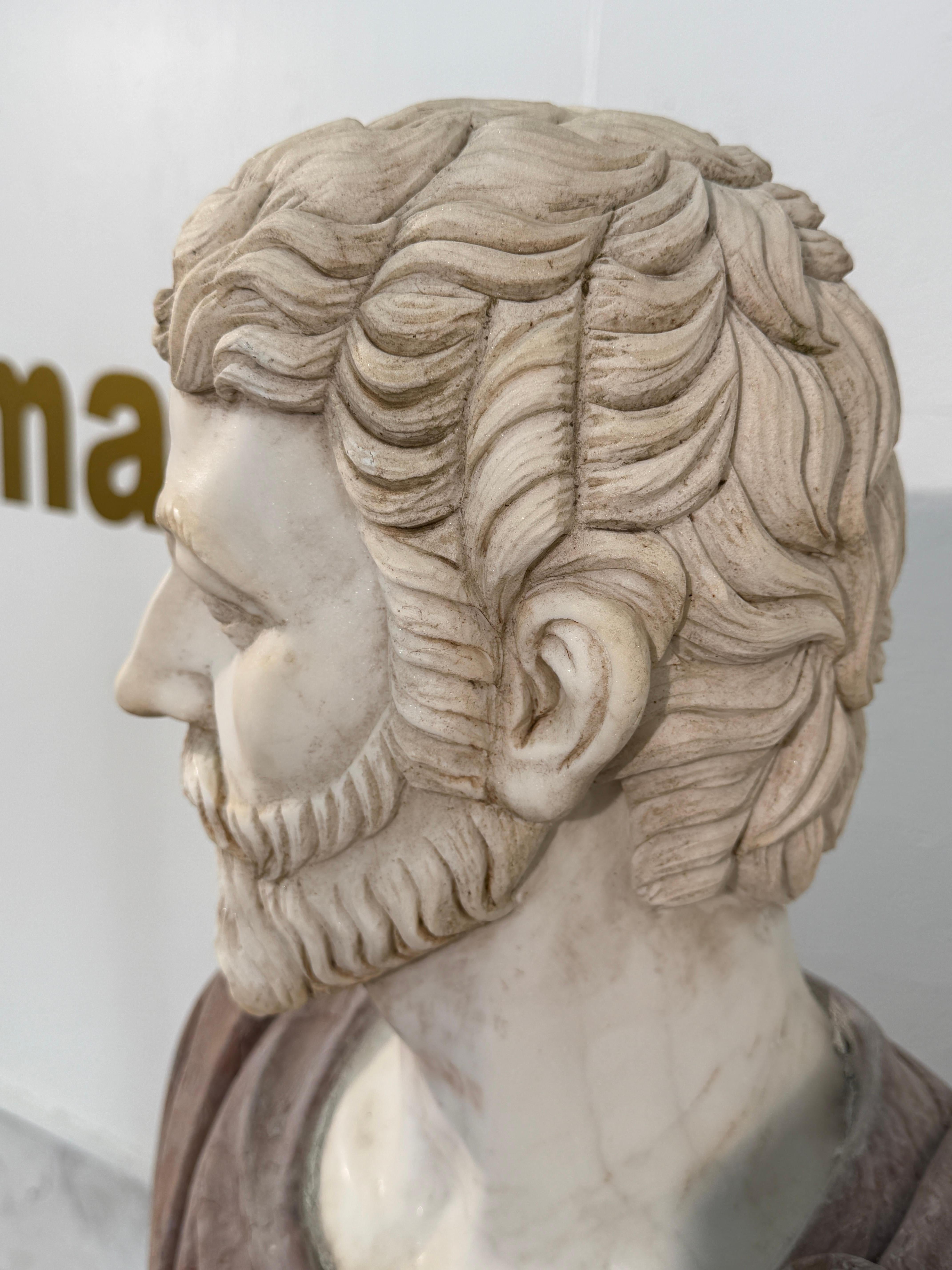 Two-Tone Marble Bust of a Roman Nobleman For Sale 3