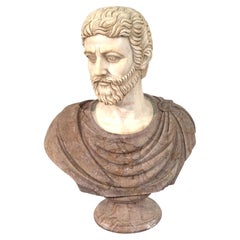 Two-Tone Marble Bust of a Roman Nobleman
