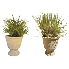 Vases and Vessels